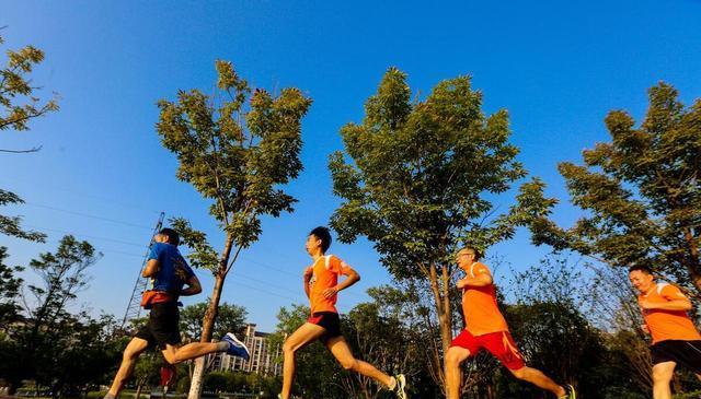 这样晨跑, 睡觉吧, 适合晨跑